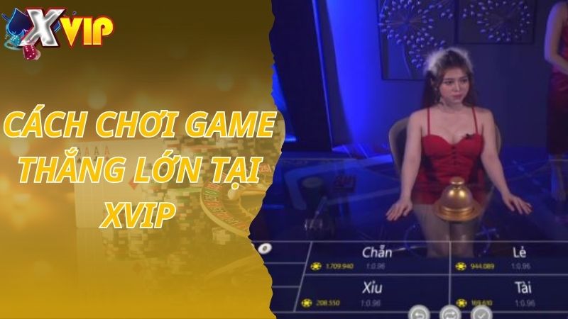 Cách chơi game Xóc Đĩa Con Mực thắng lớn tại Xvip