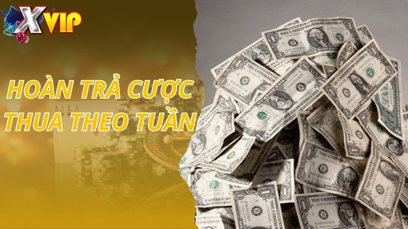 Khuyến mãi Xvip hoàn trả cược thua theo tuần