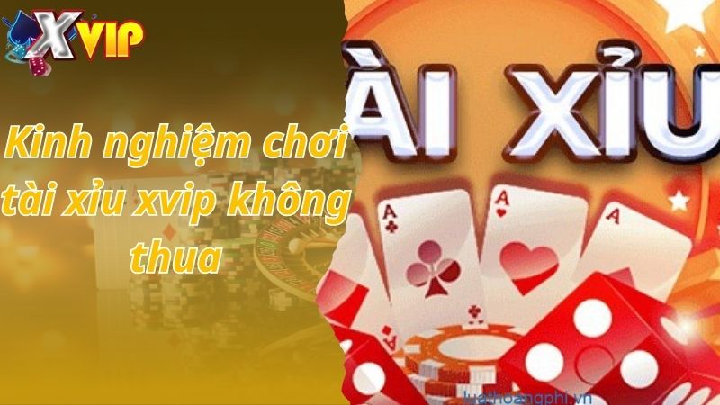 Kinh nghiệm chơi tài xỉu xvip không thua