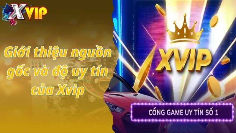 Giới thiệu nguồn gốc và độ uy tín của Xvip